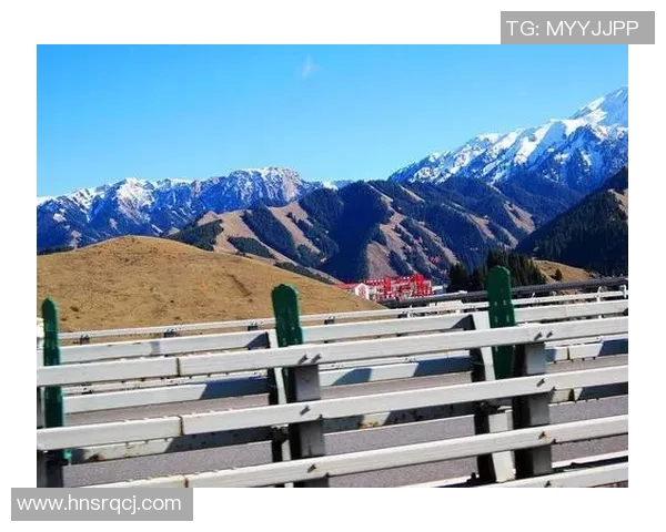 丽江飞虎与新疆精彩对决录像回放全景解析与赛后点评