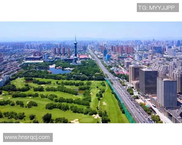 大连与石家庄比赛全场数据分析及精彩瞬间回顾