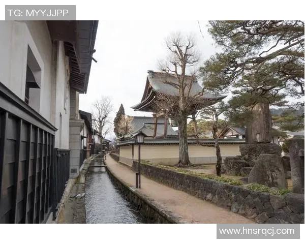 赞岐阜玉与京都的精彩对决揭示了日本足球的魅力与竞争力