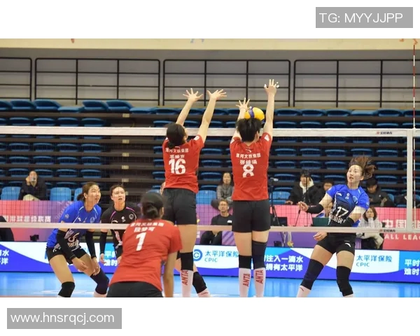 上海排球队的节奏解析与深度剖析排球运动的魅力与挑战